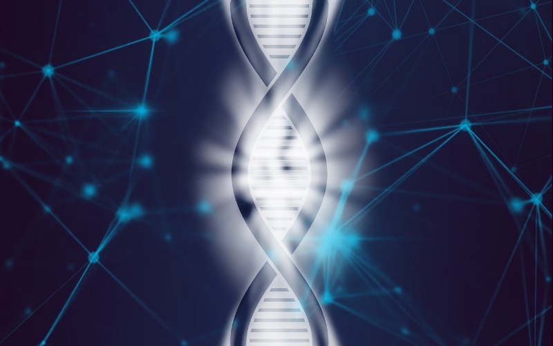 Ljudski genom – Zanimljivo otkriće šifre života