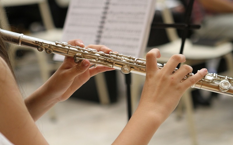 Puhački glazbeni instrumenti - Flauta