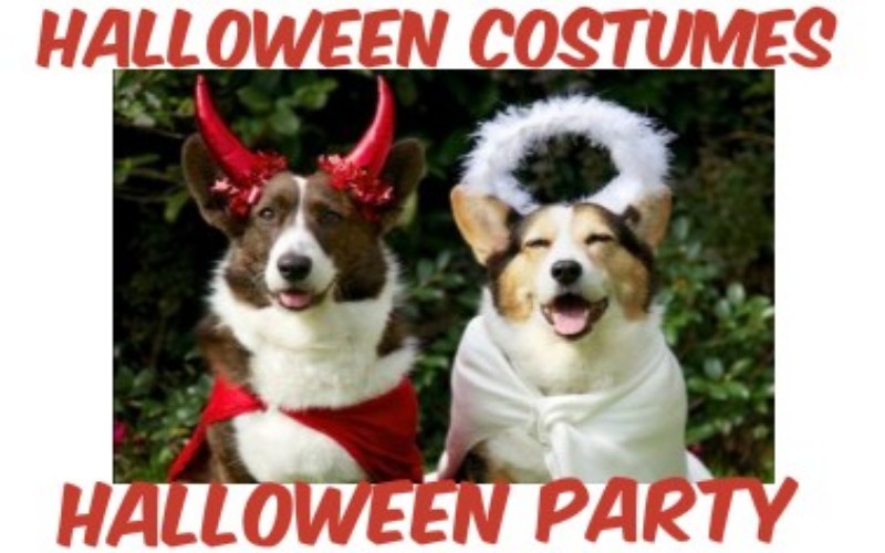 Smiješne slike pasa vezane za Halloween party