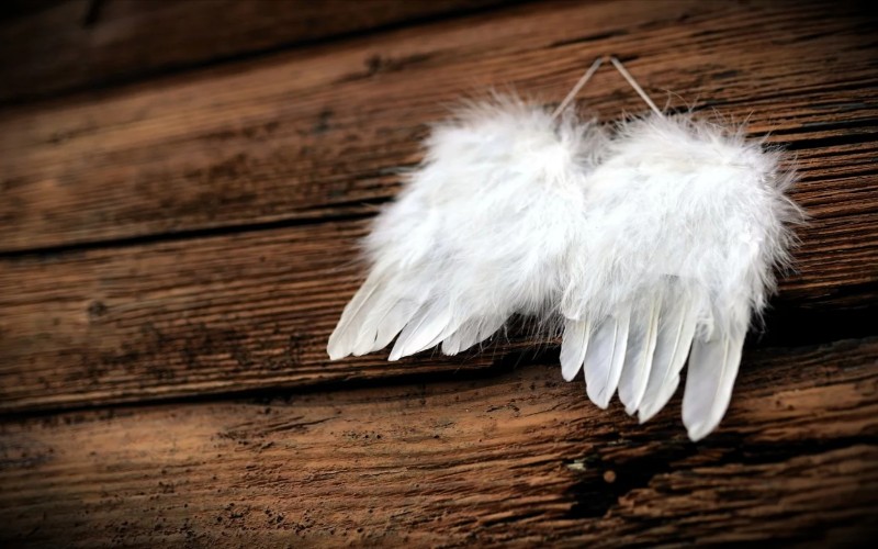 Anđeoska krila 