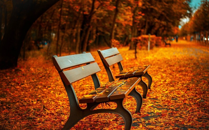Slike jeseni čije će vas predivne boje dobro opustiti