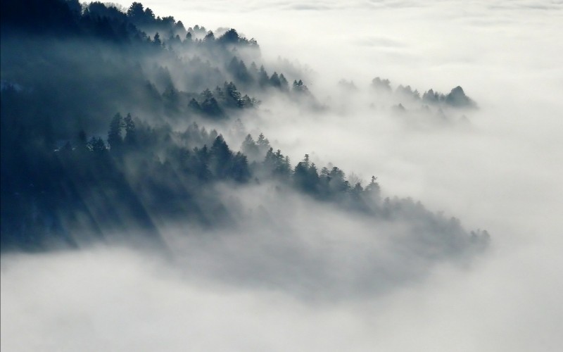 Mistične slike jeseni - Gusta magla 