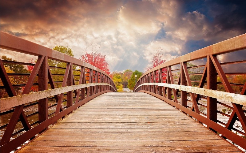 Drveni most u prirodi 