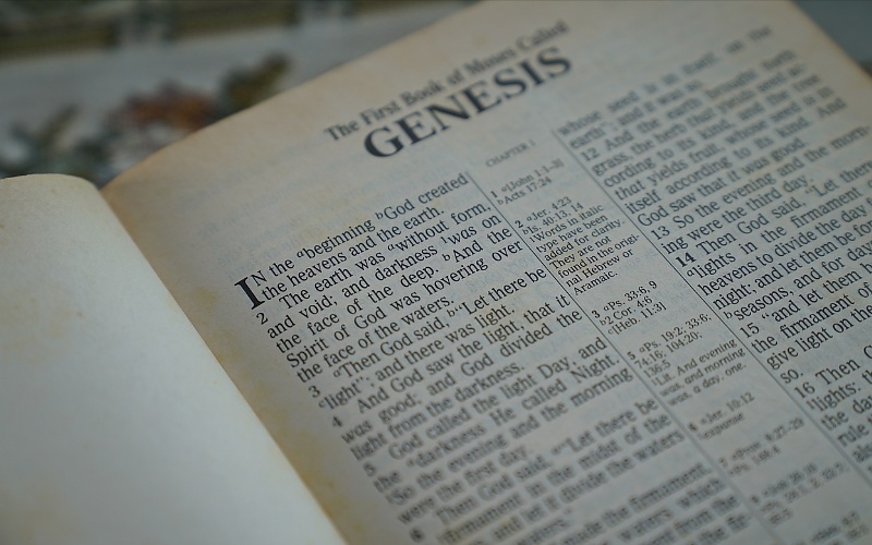 Značenje riječi Geneza - Šta znači riječ Geneza