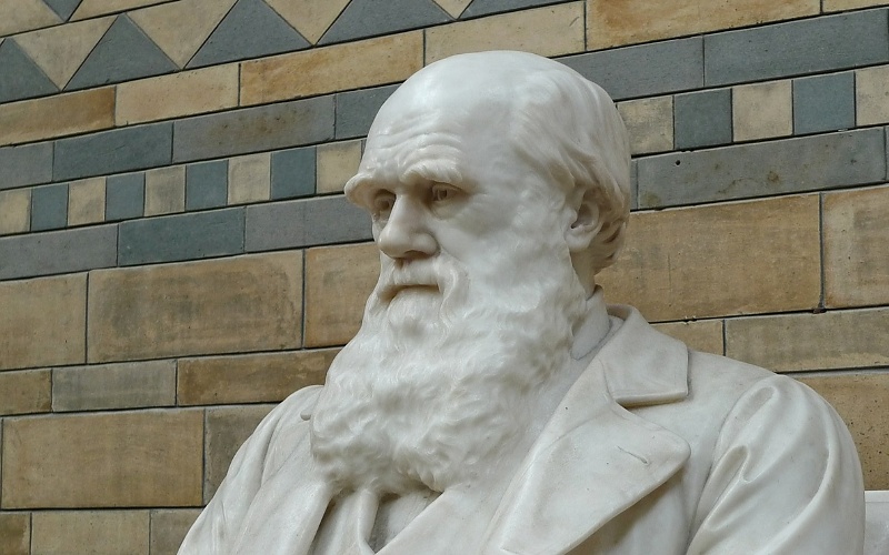 Značenje riječi Darvinizam - Šta znači riječ Darvinizam