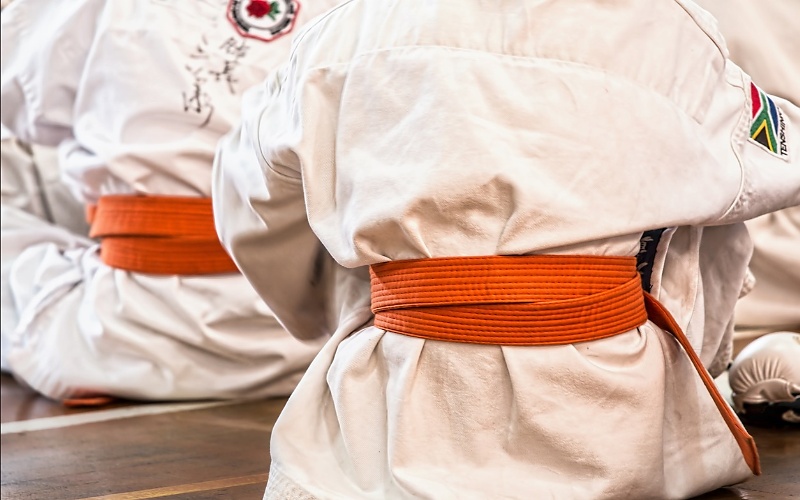 Japanske borilačke vještine - Karate 