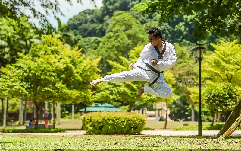 Kung Fu tehnike