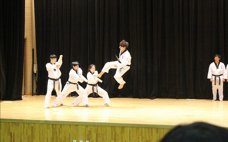 Taekwondo vještine 