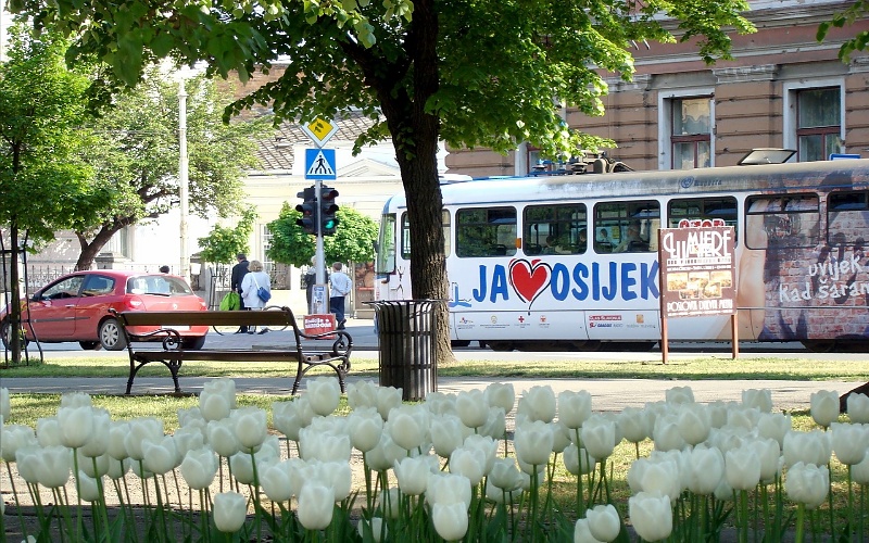 Osijek 
