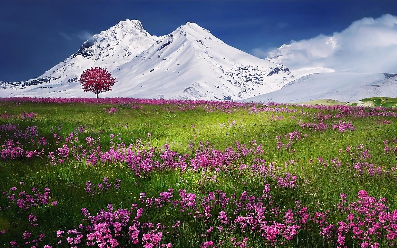 Ljepote Alpa koje su oduvijek bile privlačne