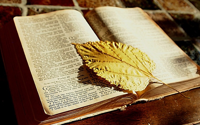 Knjiga postanka 15: Biblija i Stari zavjet