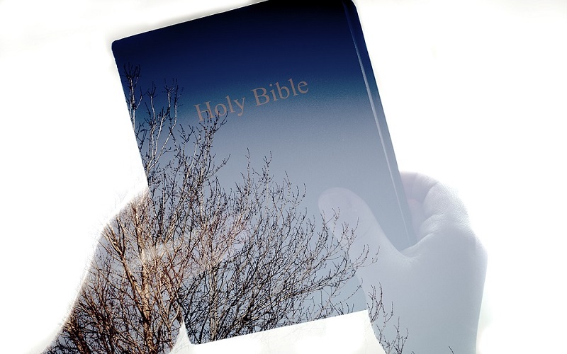Knjiga Izlaska 3: Biblija i Stari zavjet