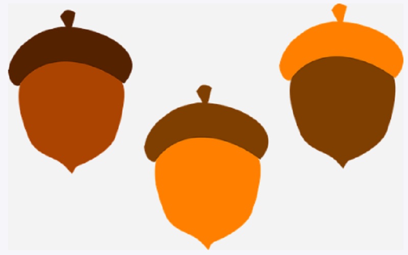 Žir i tikva: Bajke za djecu i priče za laku noć