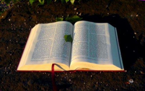 Tobija 2: Biblija i Stari zavjet