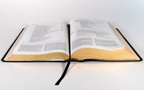 Levitski Zakonik 14: Biblija i Stari zavjet