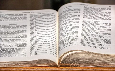 Prva knjiga Ljetopisa 11: Biblija i Stari zavjet