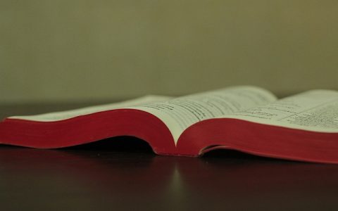 Knjiga mudrosti 14: Biblija i Stari zavjet