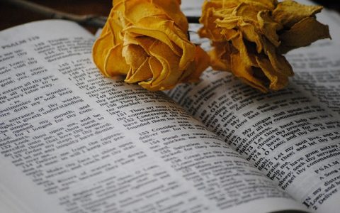 Knjiga o Jobu 39: Biblija i Stari zavjet