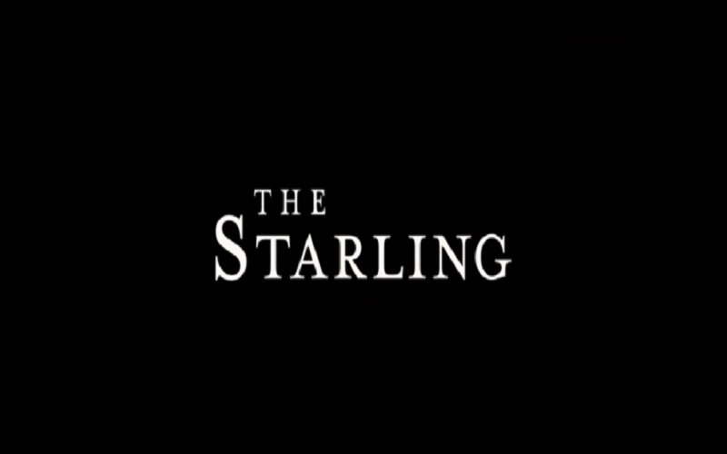 The Starling (2021): Dobri dramski filmovi