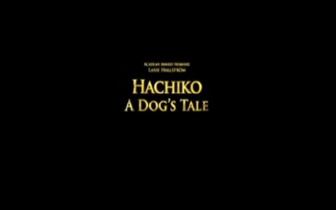 Hachi: A Dog's Tale (2009) - Akcijski filmovi